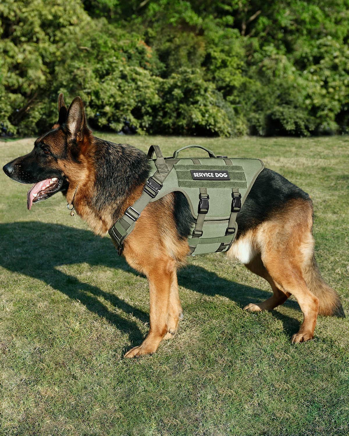 Petnanny - Arnés táctico para perros grandes, cobertura completa del cuerpo en entrenamiento con 2 parches reflectantes para perros, asa, paneles de gancho y bucle, chaleco Molle para perros