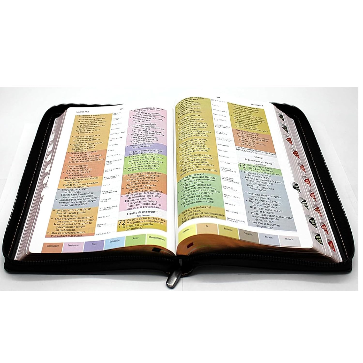 Biblia Reina Valera 1960 letra grande de Estudio Arco Iris con Cierre Indice Senti Cuero color Negro con Estuche de proteccion para guardar y proteger ... Grande Coleccion Celestial (Spanish Edition)      Imitation Leather – June 1, 2025