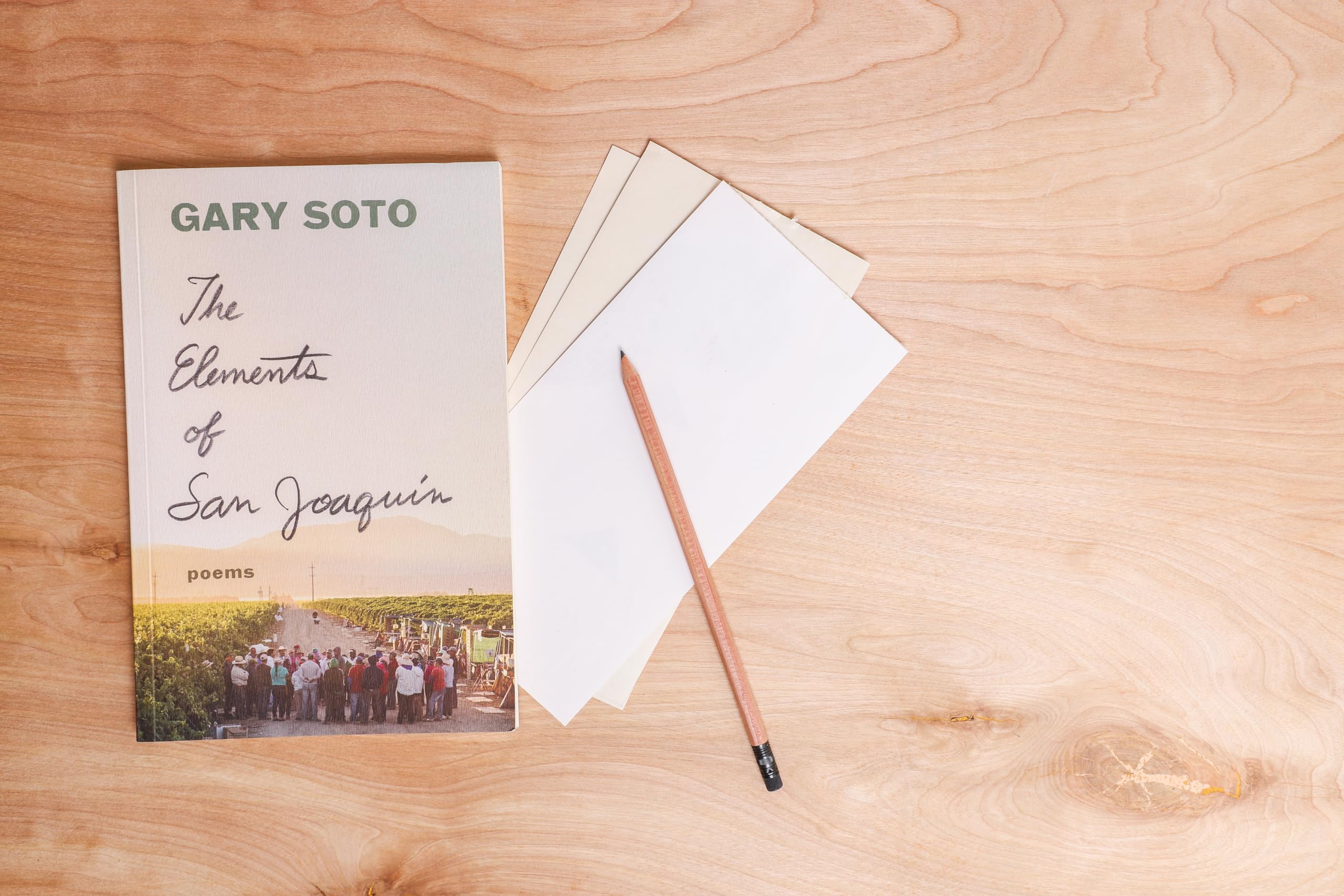 The Elements of San Joaquin: poems (Chicano Poetry, Poems from Prison, Poetry Book) - Image 7