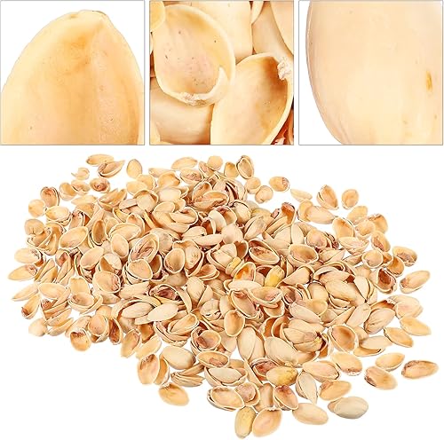 Miniatura 7 de EXCEART Accesorios Pistacho Pistacho Pistachos Concha para Artesanías Decoración de la Boda Casa Pescadera Jarrón Relleno Niños Artesanía Material