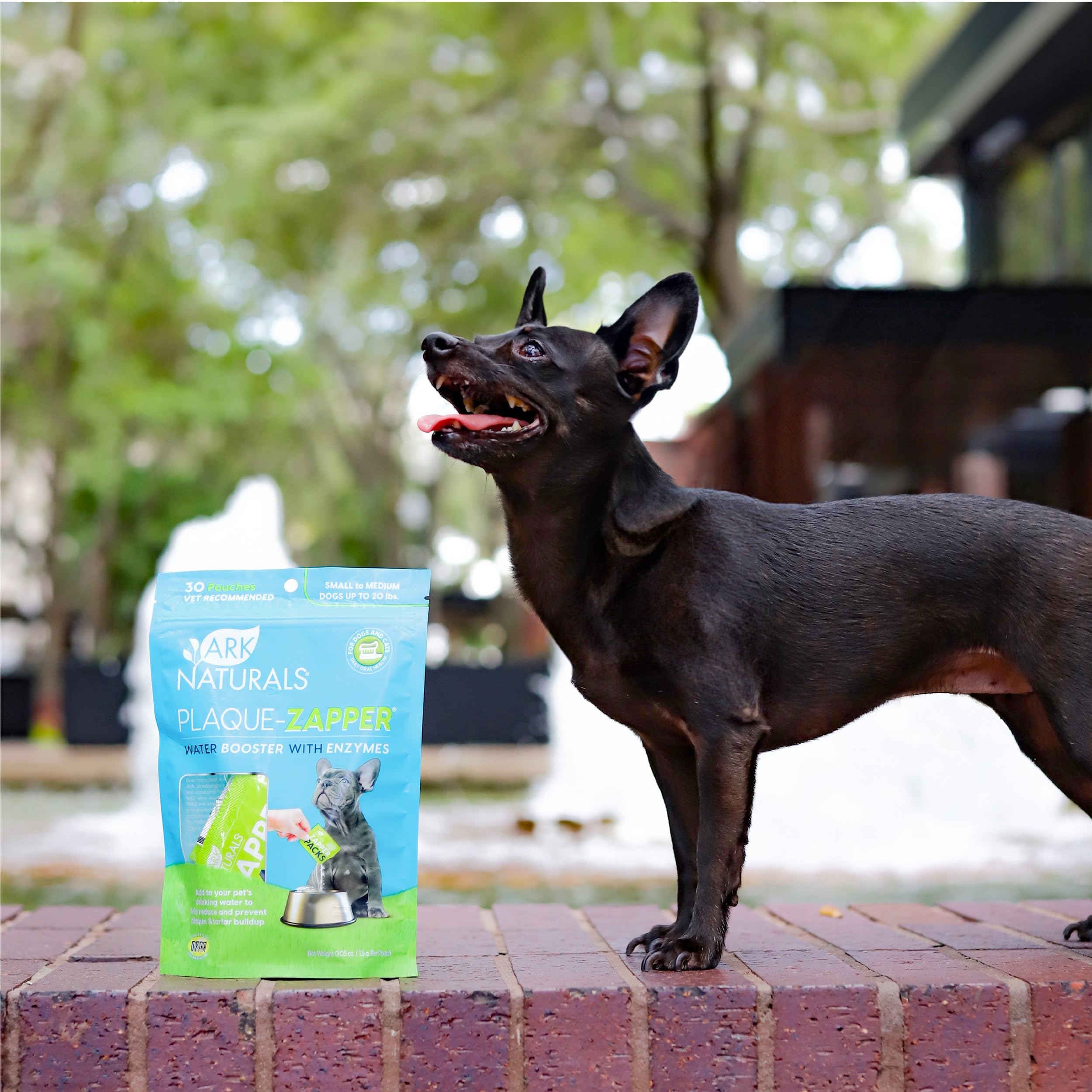 Ark Naturals Plaque Zapper, Fizzy Tasteless Water Additive for Cats and Dogs, Small & Medium Bowls - image 4