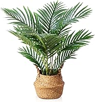 Vista 1 de LOMANTO Planta artificial de palmera Majesty, plantas artificiales de 2 pies para decoración del hogar, pequeños árboles artificiales en maceta