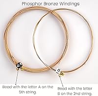 Vista 6 de Pitbull Cuerdas de guitarra acústica serie dorada