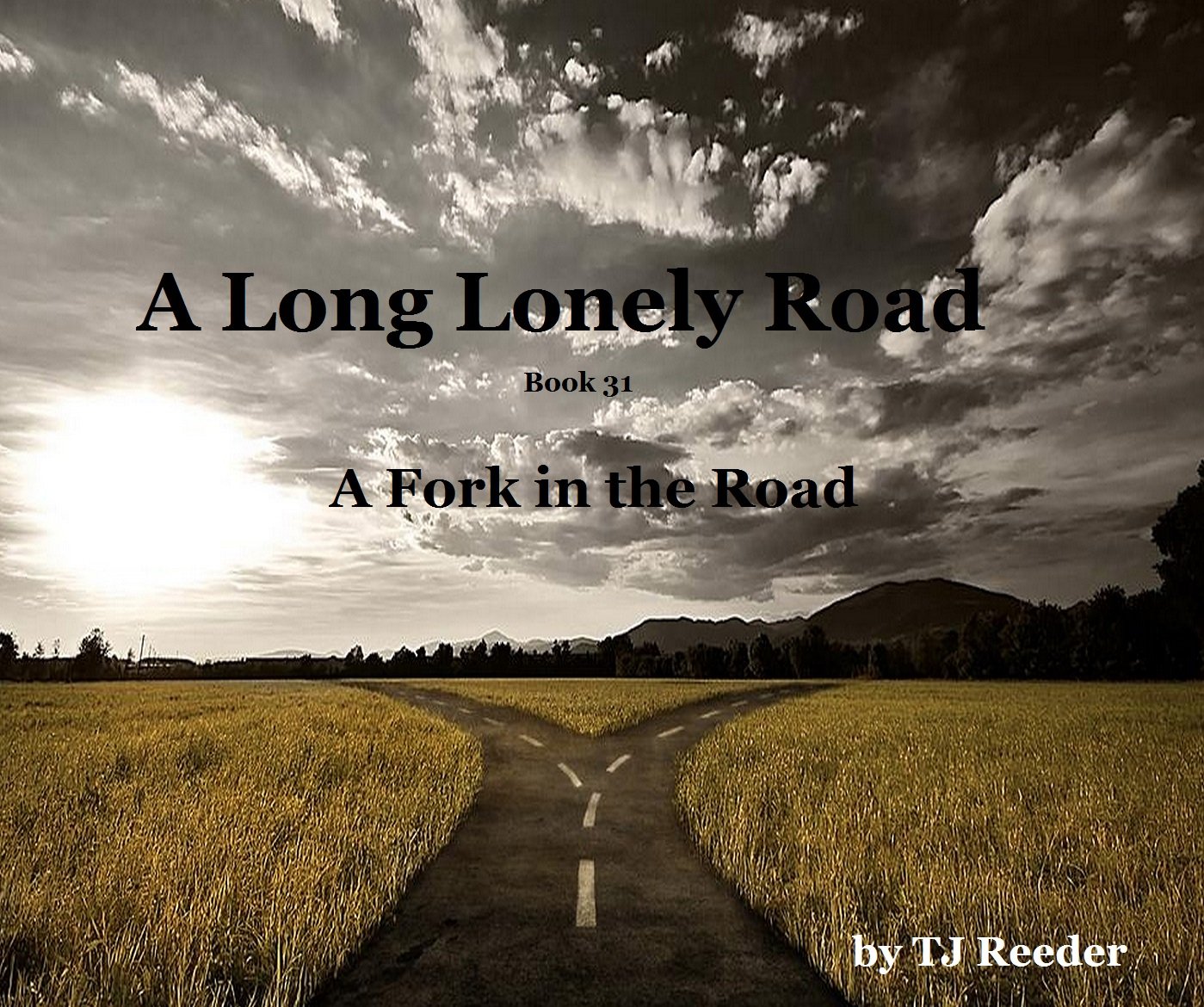Amazon.com: A Long Lonely Road: Book 31: A Fork in the Road eBook ...