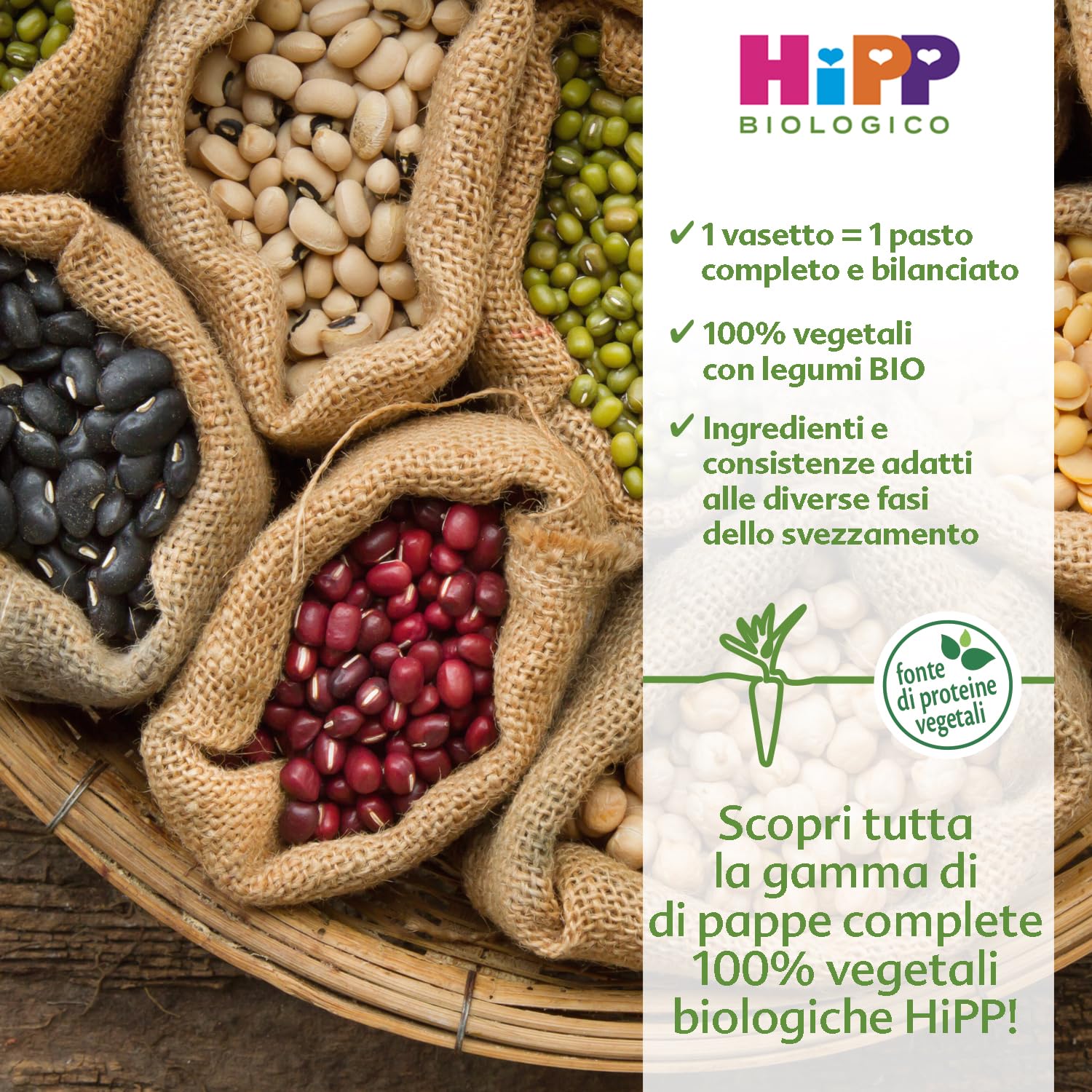HiPP - Pappa Pronta Completa Bio, Riso con Carote e Salmone, 6 Confezioni da 220 g