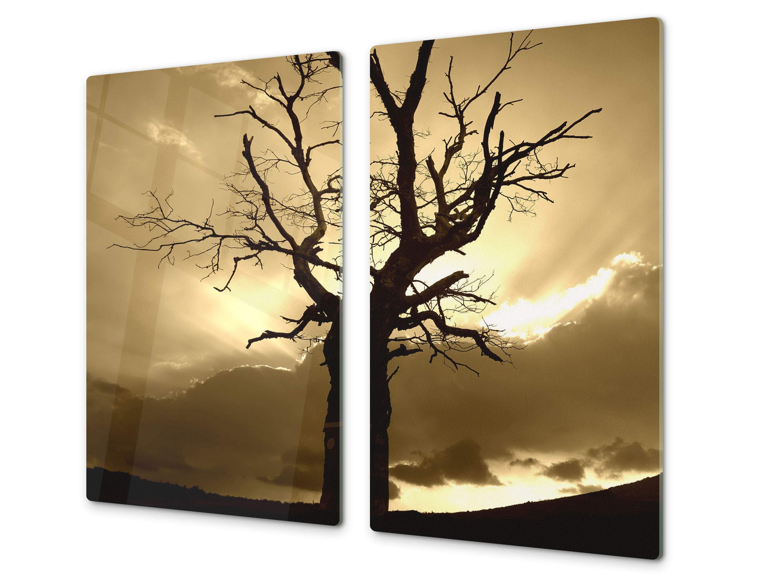 Tempered Glass Kitchen Board – Impact & Scratch Resistant; Measures: Single: 23,62” x 20,47”; Double: 2 x 11,81” x 20,47”; D08 Nature Series: Tree 1