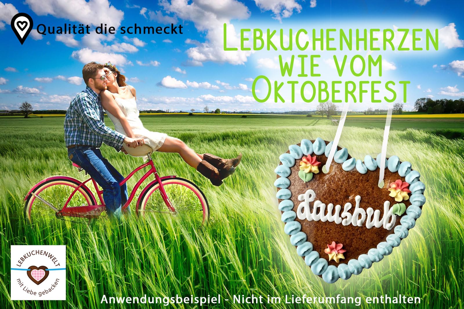 Lebkuchenherzen 14cm Mischkarton Oktoberfest Sprüche Bayerische Kosenamen 20 Stück