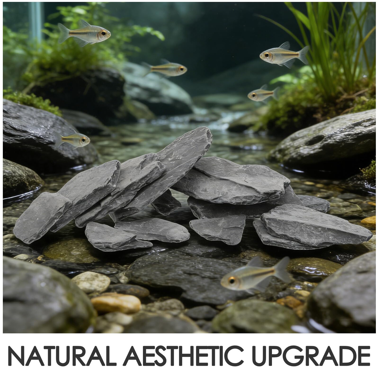 Natürliche Flussbecken Felsen für Aquarium und Aquascaping Ph Neutraler Stabiler Lebensraum Unregelmäßige Form Geeignet für Schildkröten und Wasserlebewesen