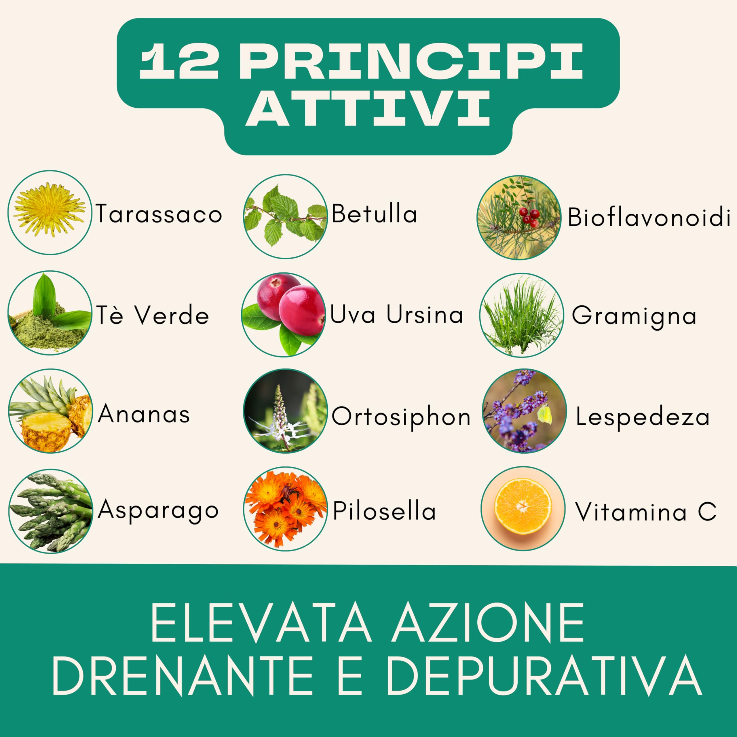 BPR Nutrition - H2OFF Drenante in capsule a base di estratti vegetali con funzione depurativa, drenante e antiossidante, favorisce il microcircolo e contrasta gli inestetismi della cellulite