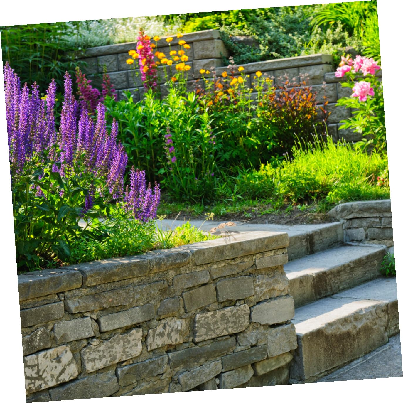 DECHOUS 2 Pezzi Ornamenti Da Giardino Formiche in Metallo Per Esterni Decorazione Formica Artigianale Per Casa Ufficio