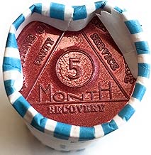 Wendells Bulk Lot of 25 Aluminum 5 Month AA Medallions Alcoholics Anonymous Chips - coolthings.us