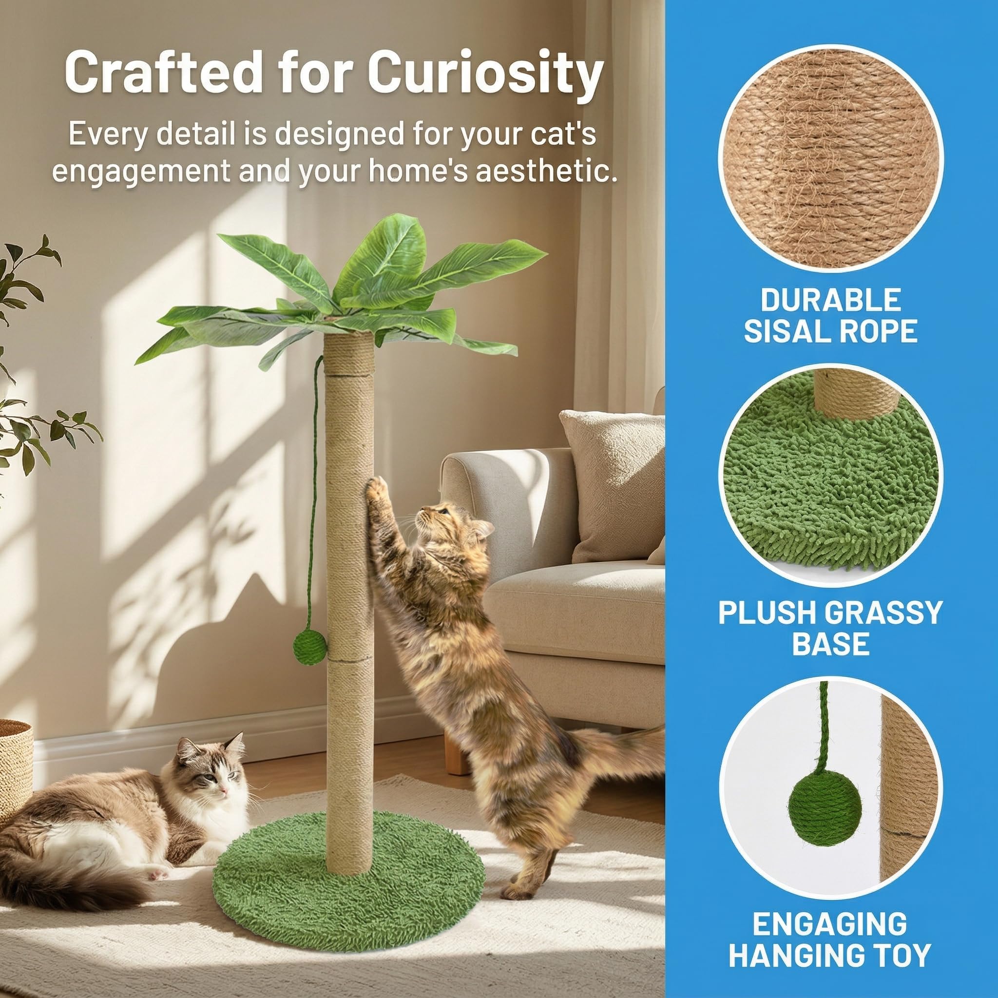 Kratzsäule Katze,Kratzstamm mit Baumelnder,Kugel 80 cm Hoch,Kratzbäume mit Premium-Sisalseil für Indoor-Kätzchen und Katzen