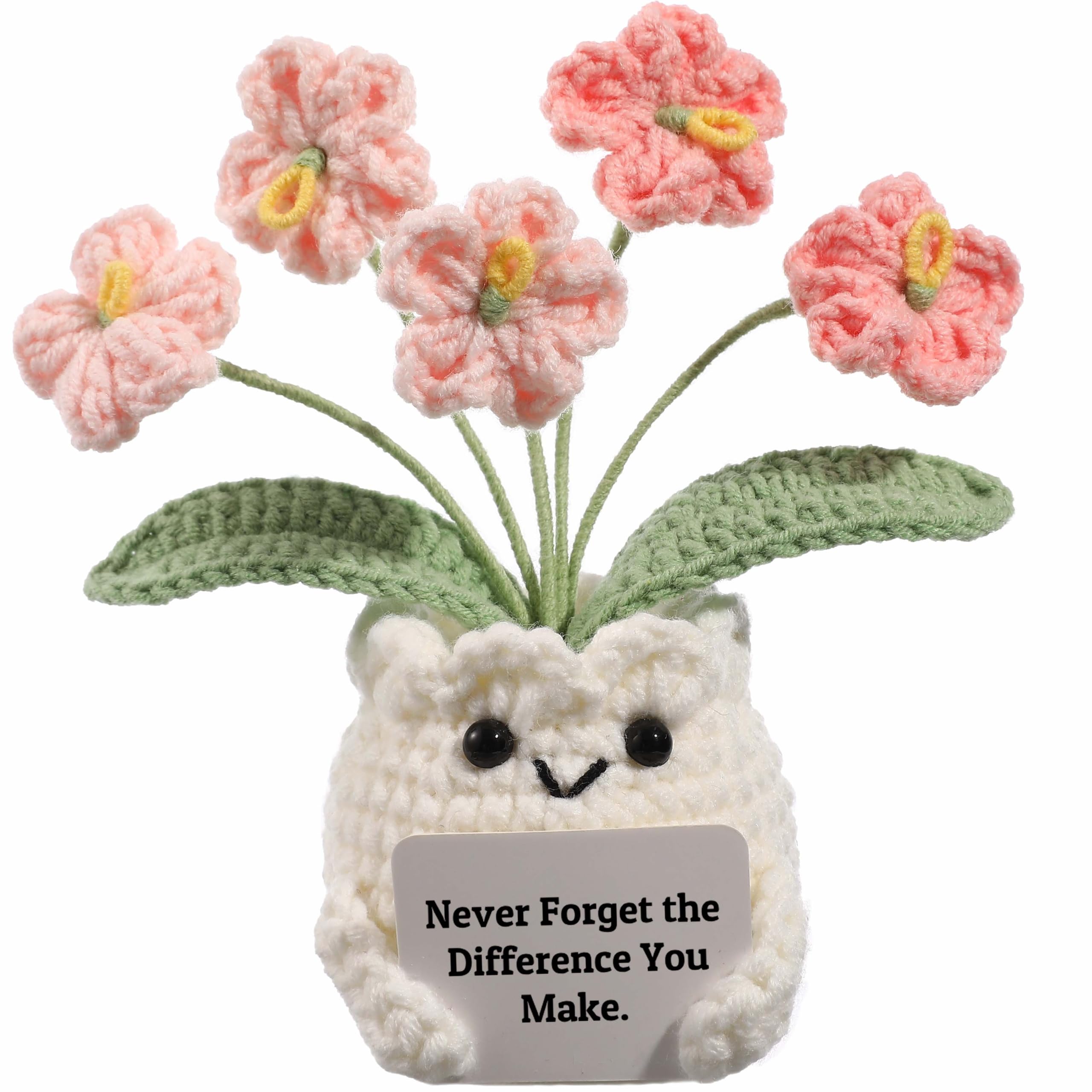 Pink Forget Me Not Crochet Flower Pot for Women
