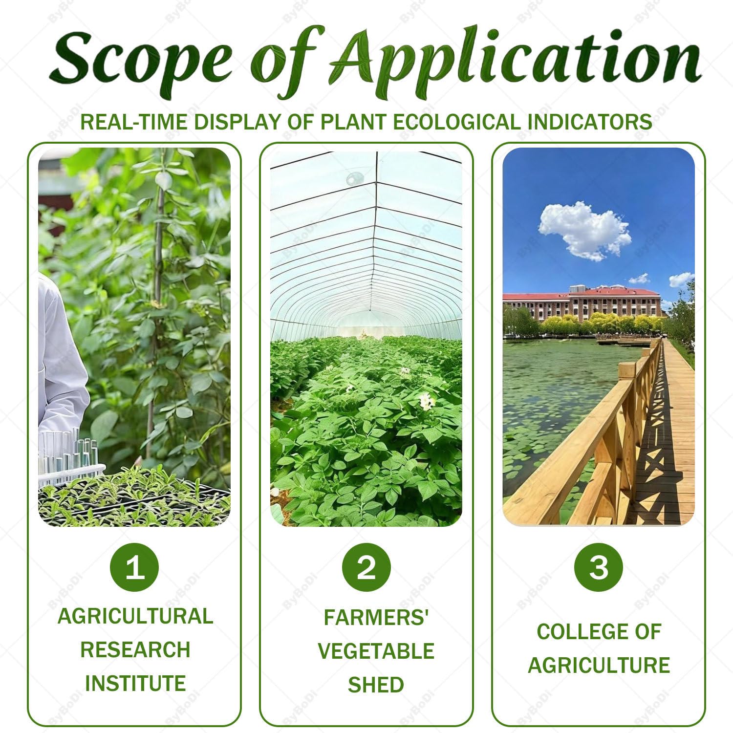 Medidor portátil de clorofila con SPAD y análisis de nitrógeno: A | comprobador portátil de clorofila, nitrógeno, temperatura y humedad, 2000 mAh, exportación de datos USB, para agricultores