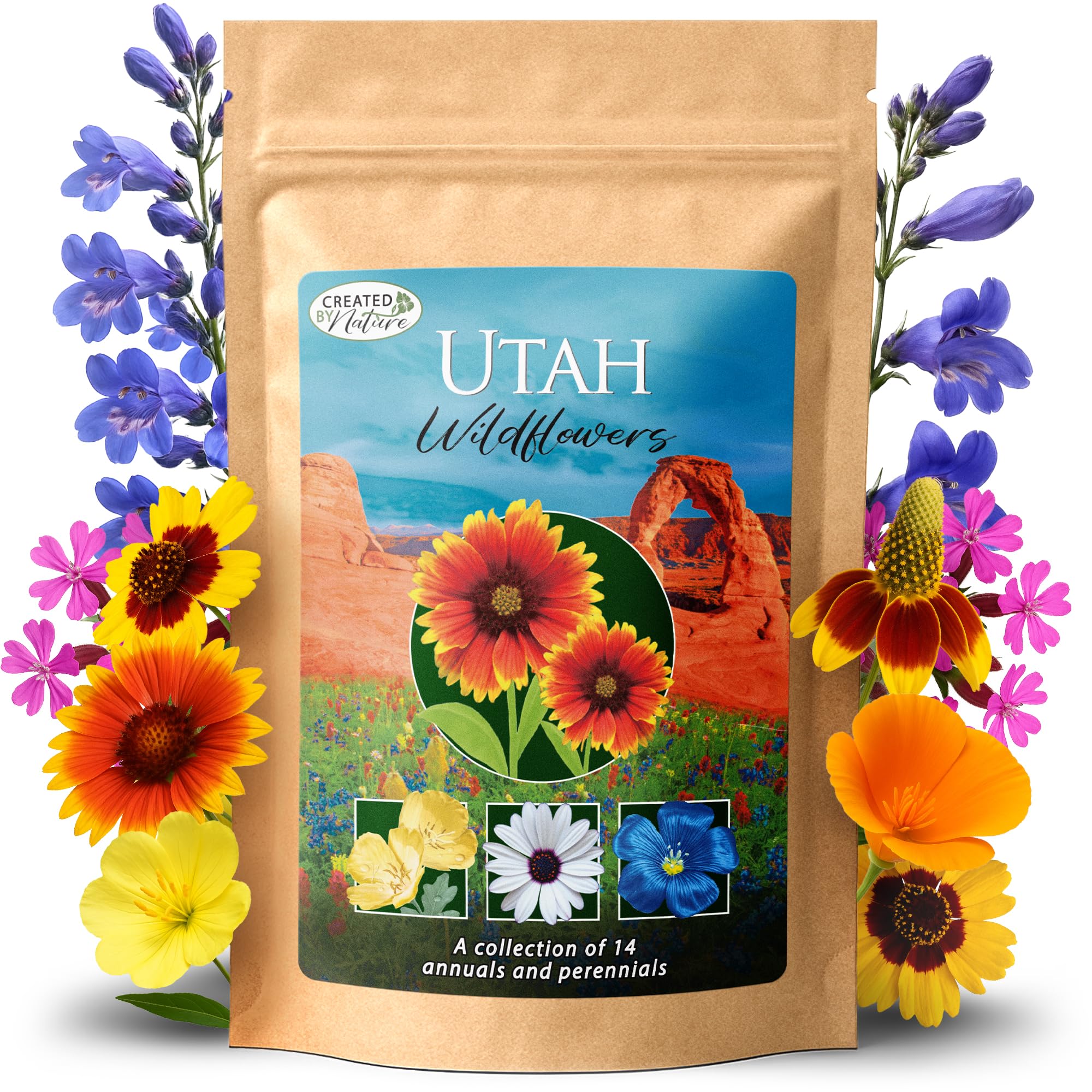 Created By Nature Utah Wildflower Seed Mix