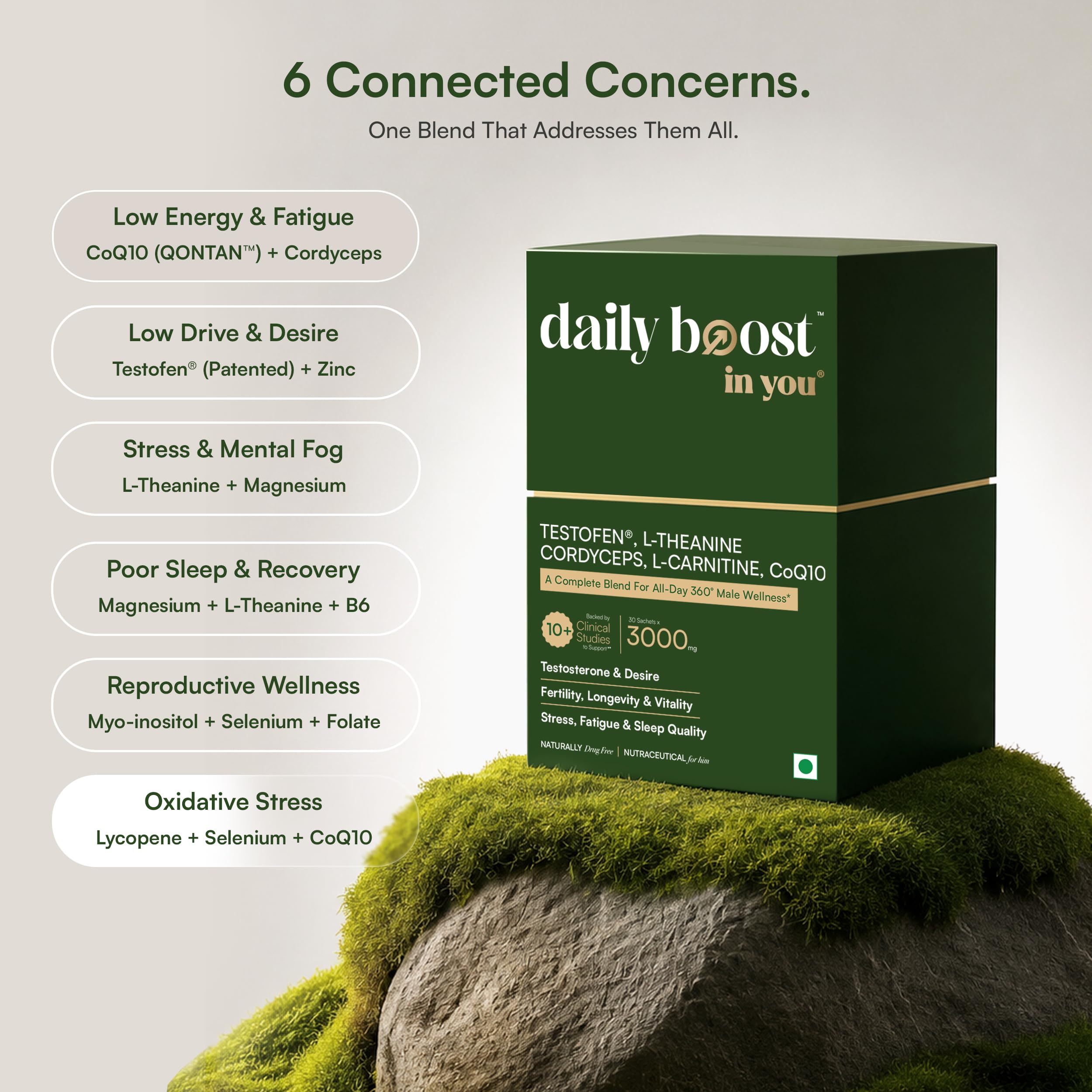 Daily Boost™ in you | 360° Men's Wellness Nutrition | Patented Testofen® + CoQ10 (QONTAN™) + Cordyceps + L-Theanine | Supports Testosterone, Fertility, Sperm Health, Energy, Longevity, Stress & Sleep 2