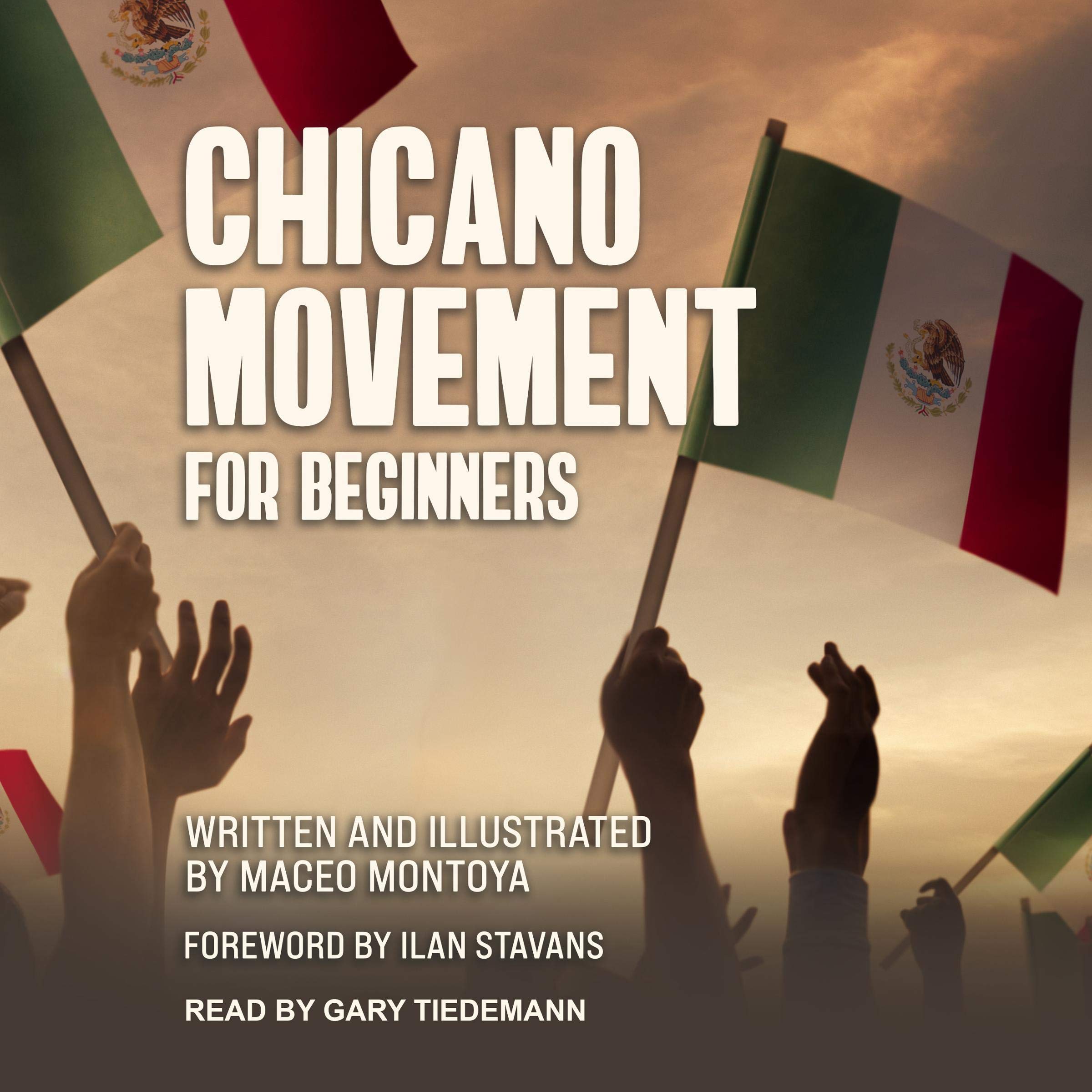 Cover art for Chicano Movement For Beginners