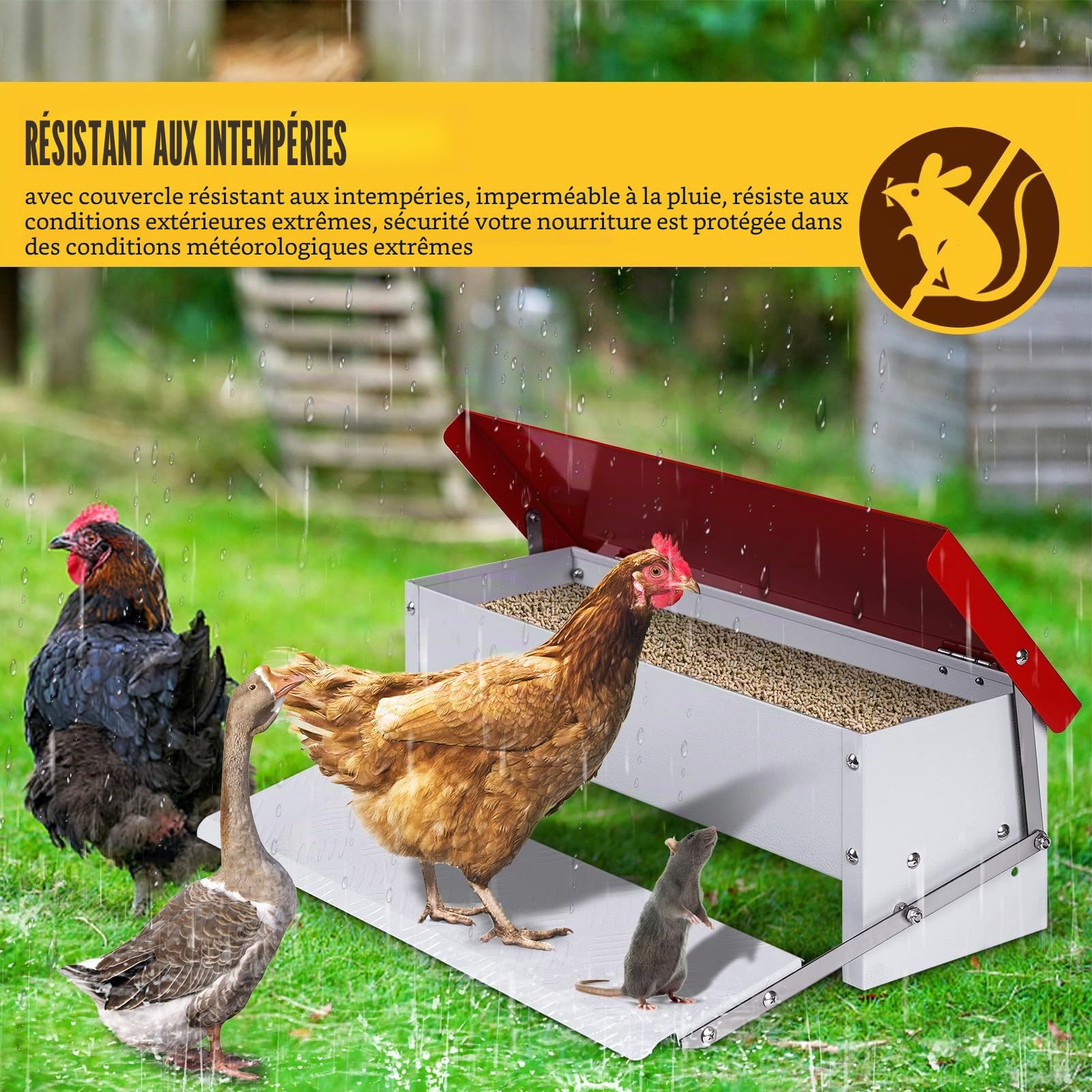 Mangeoire Poule Automatique,Mangeoire Galvanisée Pouvant Contenir 5 Kg de Nourriture,Distributeurs de Nourriture,Pour Poulets, Dindes, Oies et Canards