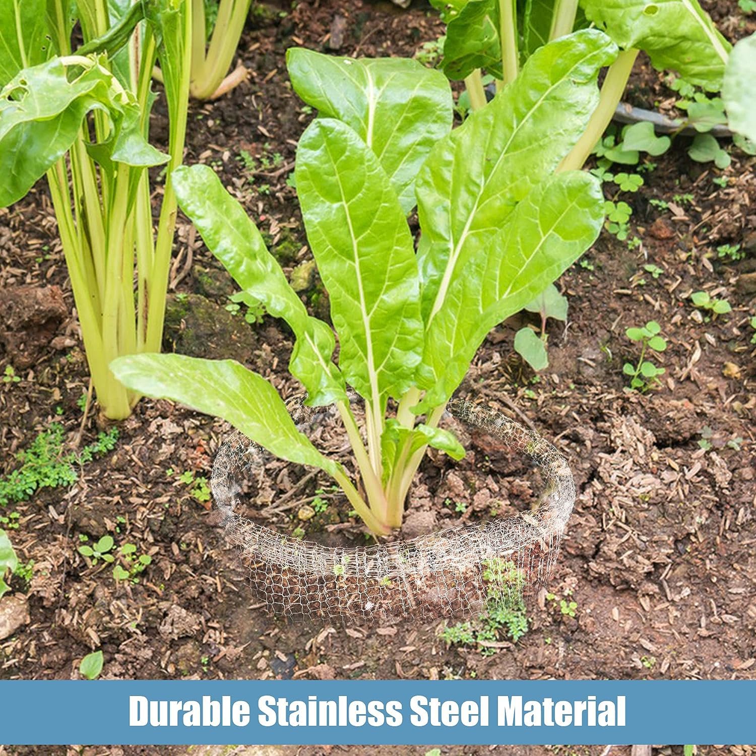 Roestvrij staal Mesh Wortelmand, veelzijdige draadmand beschermen planten, bomen, bloemen, gebreide mesh dieren kooien plantenbeschermer voor de meeste planten en groenten heerlijk (18x16 inch