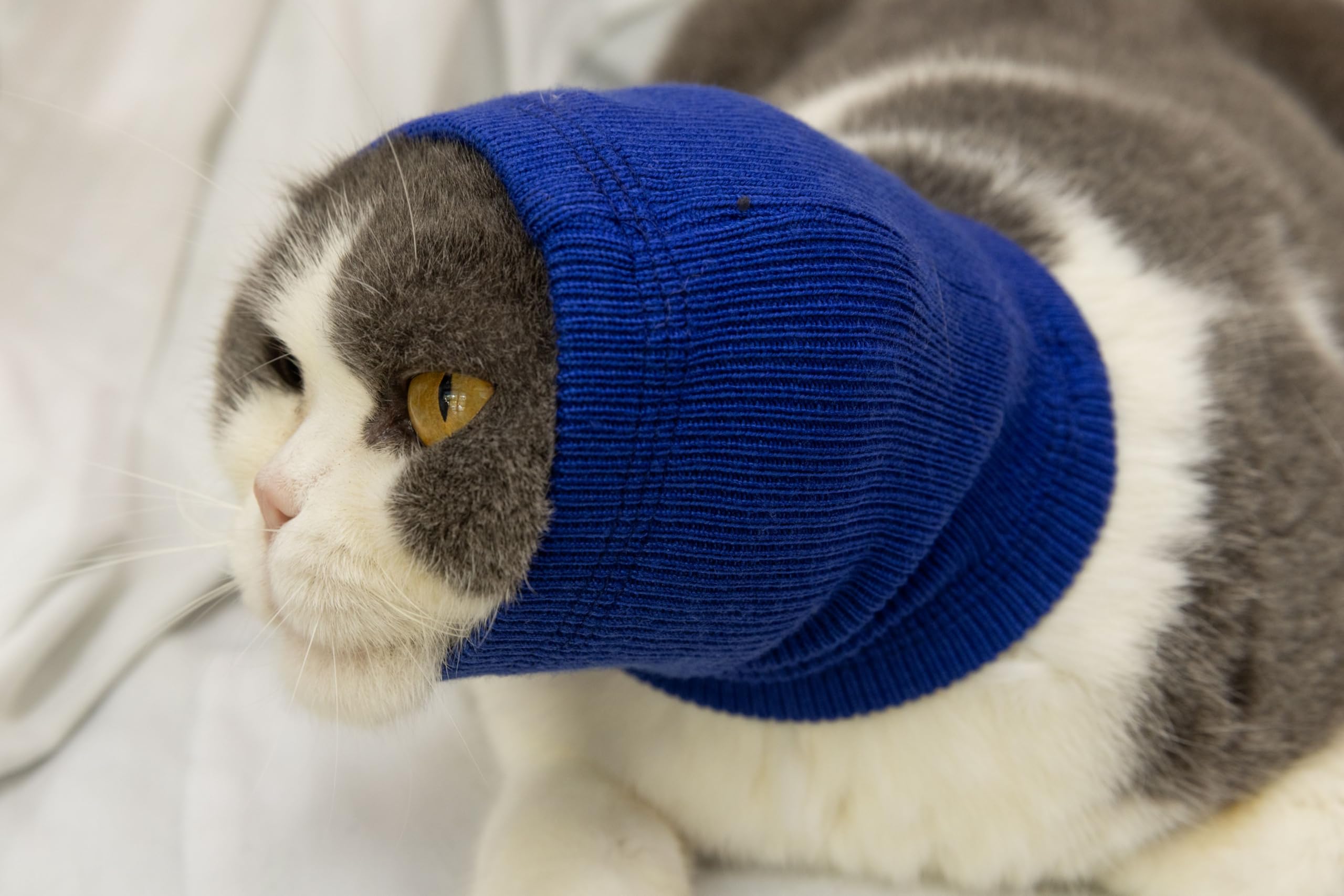 FDANDADE Cat Hematoma Ear Wrap,Cat Ear Wrap Anxiety Relief – Noise Canceling for Fireworks, Thunderstorms, Pet Grooming & Force Drying Blue S