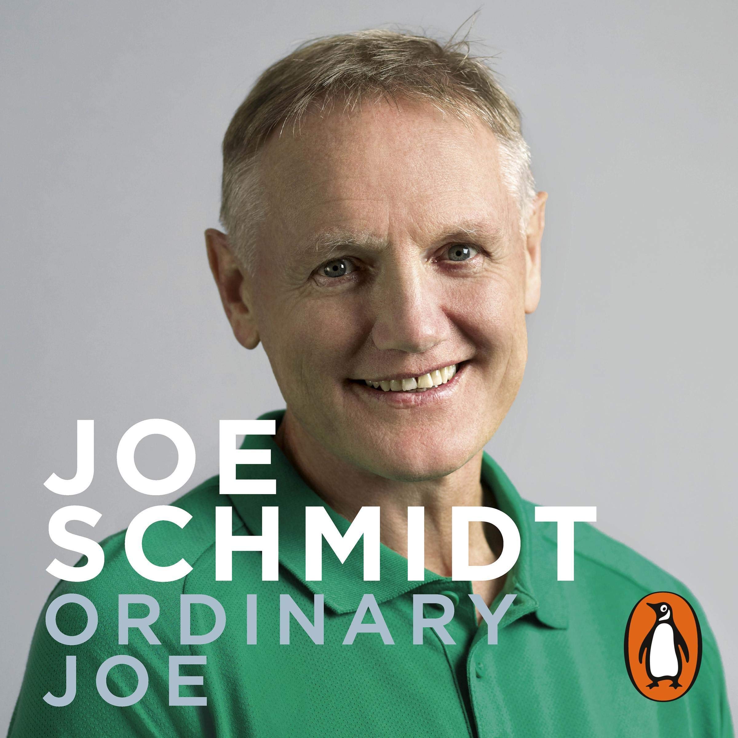 Cover art for Ordinary Joe