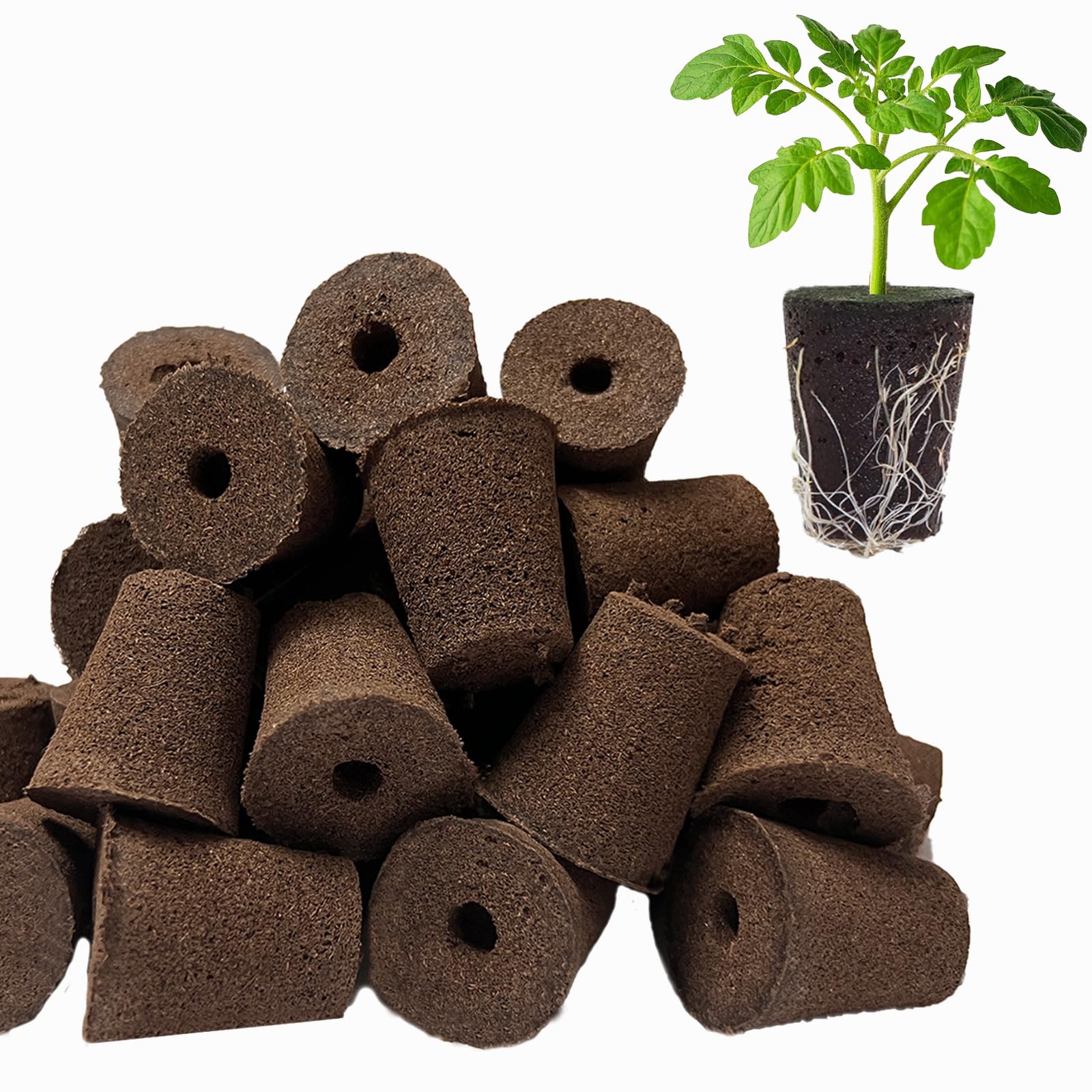 50 Pack Round hydroponic Growth Sponge, Suitable for Indoor and Outdoor hydroponic Gardens, Seed Germination, Plant Rooting, Vegetable Cultivation, Flower Arrangement-image-42
