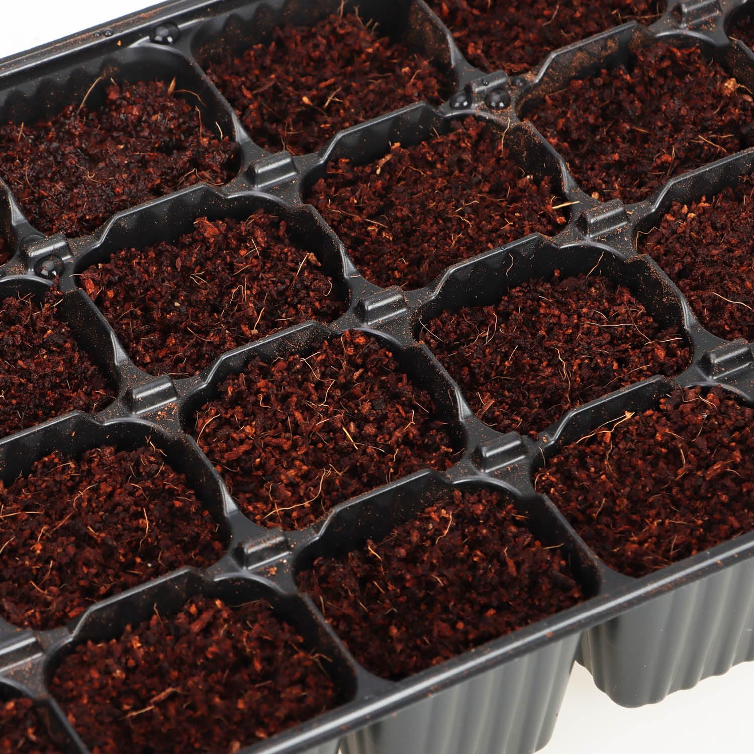 com-four® 24x Mini Serra da Interno con Coperchio - Kit di Coltivazione con 576 Vasi - Fioriera per Verdure, Erbe Aromatiche e Fiori - Scatola di Germinazione per Davanzale (Kit di Coltivazione 2)