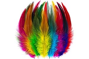 Holmgren Rooster Feathers for Colorful Crafts