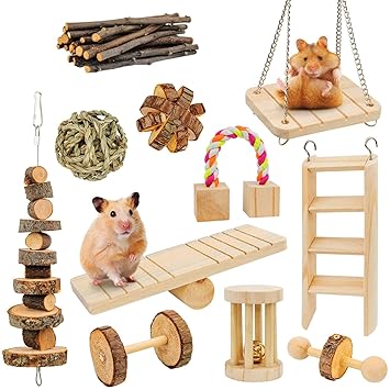 AK KYC Hamster Toys 11 Pack Guinea Pig Wooden Chinchilla Bunny Chews Toys Natural Molar Wooden for Teeth