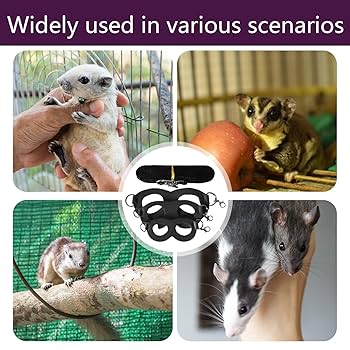 画像確認用★モモンガハーネス購入不可× サイズ7/10 画像確認用☆モモンガハーネス購入不可× サイズ7/10