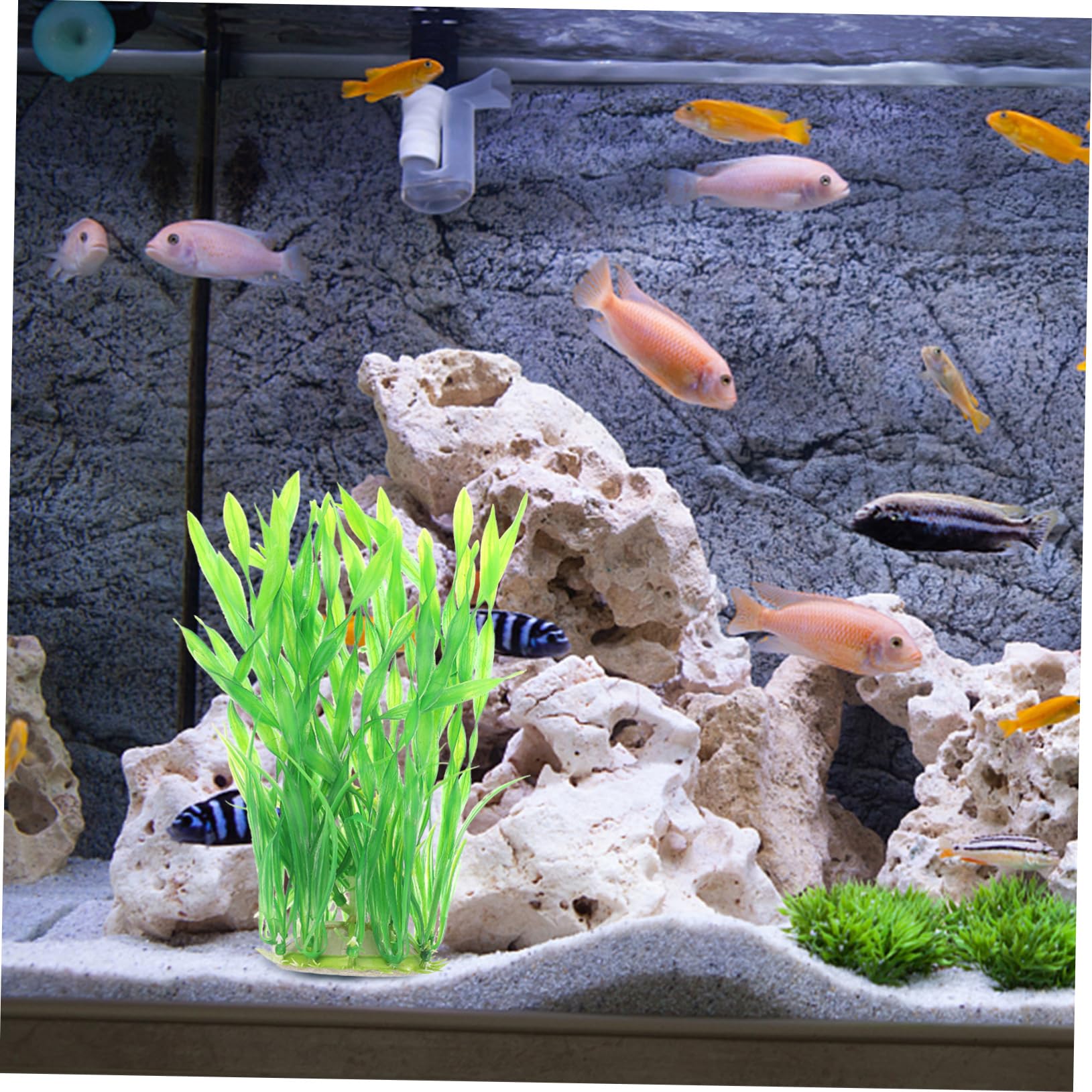 BESPORTBLE 10stücke Aquarium Kunstpflanzen Dekoration Wasserpflanzen Für Betta Fisch Tank Unterwasser Aquarien Zubehör Langlebig Und Farbecht