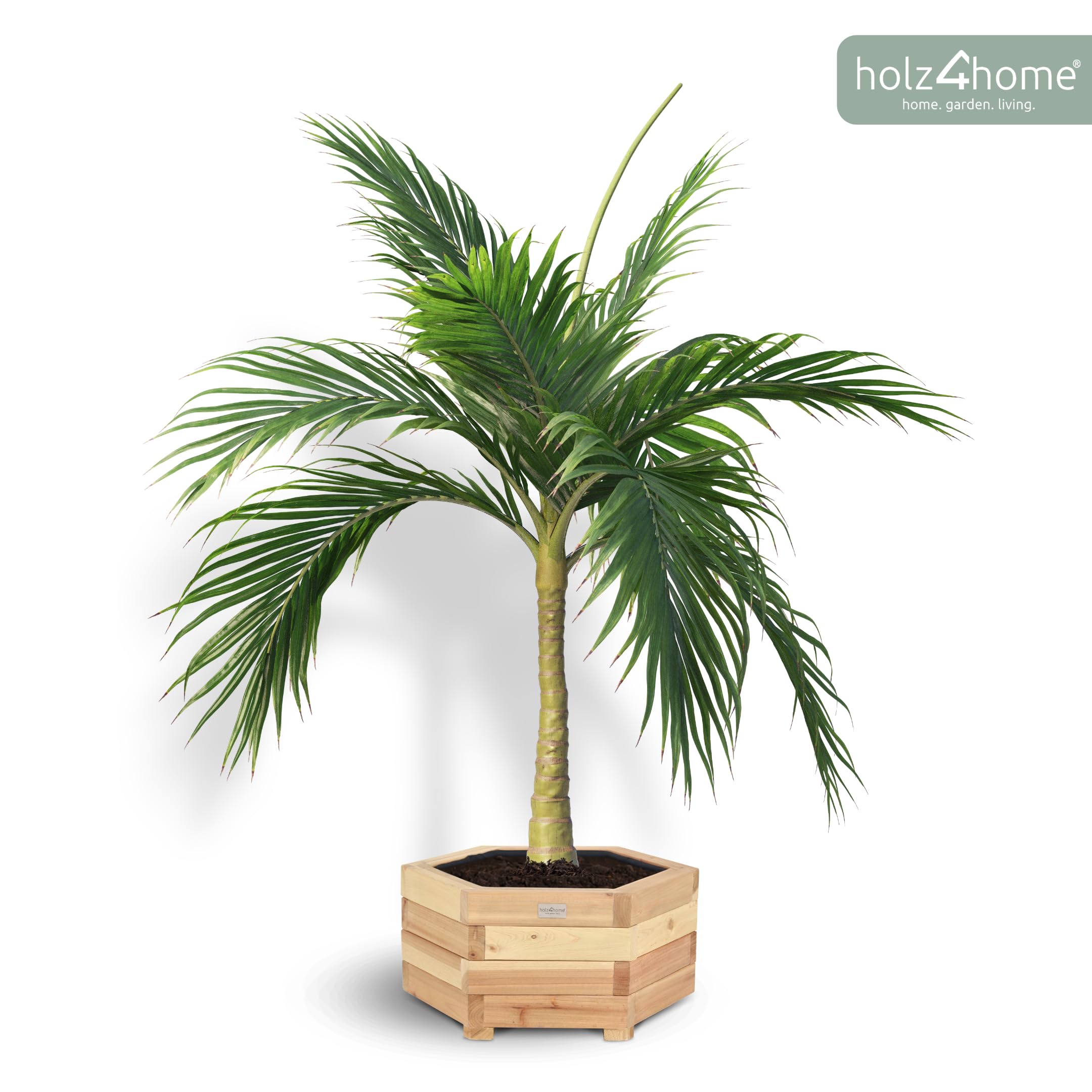 holz4home® Outdoor Pflanzkübel S I 6-Eckig aus Tannenholz I inkl. Gartenhandschuhe & Vlies I Blumentopf Terrasse aus Holz I Pflanzkasten Pflanztopf Blumenkübel Balkon
