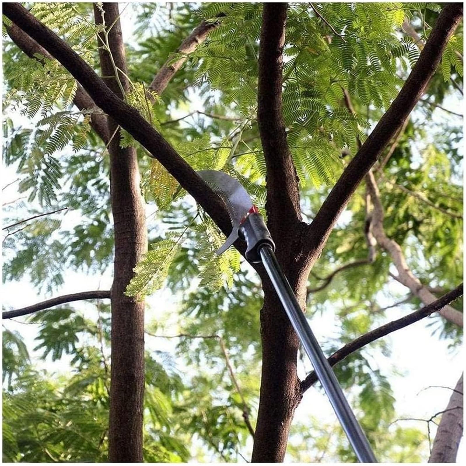 NAKEAH Sierra de poda Extensible, Sierra de Poste telescópica Profesional for paisajismo con Mango telescópico de Aluminio Utilizado for podar (Size : 5.4m)