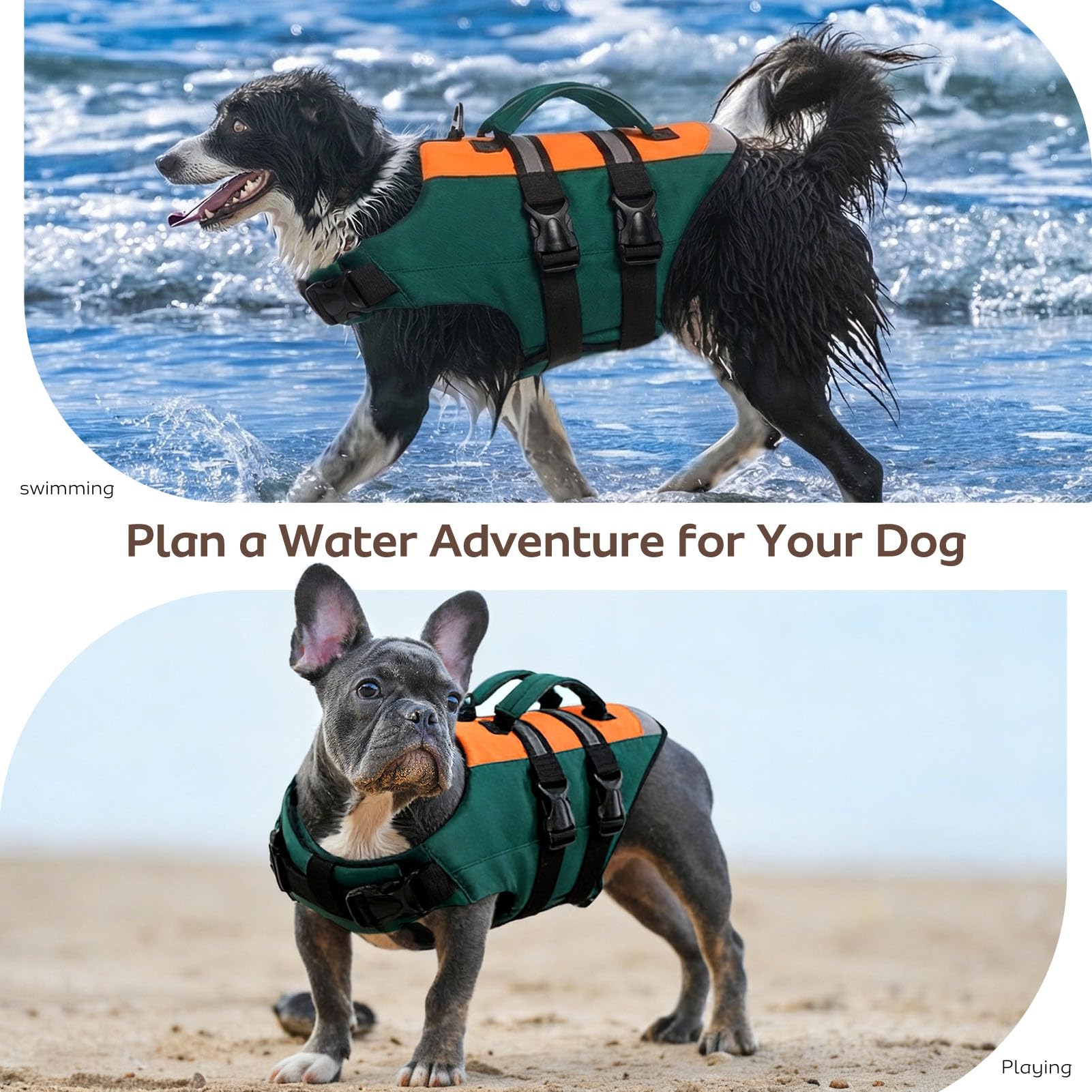 CITÉTOILE Gilet de Sauvetage pour Chien Double Poignée Flottant Réfléchissant Poignée Renforcée Sangles Réglables Vert XL