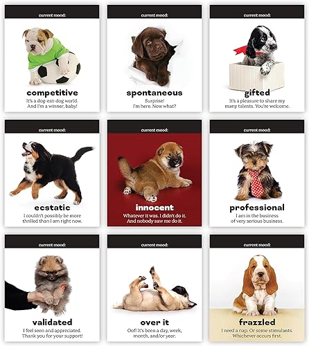 Miniatura 3 de Diario DOGGO, Rotafolio de escritorio