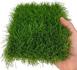 Tex Family Windsor Kunstrasen 10m² - Realistischer Rasenersatz In 5 Farbnuancen