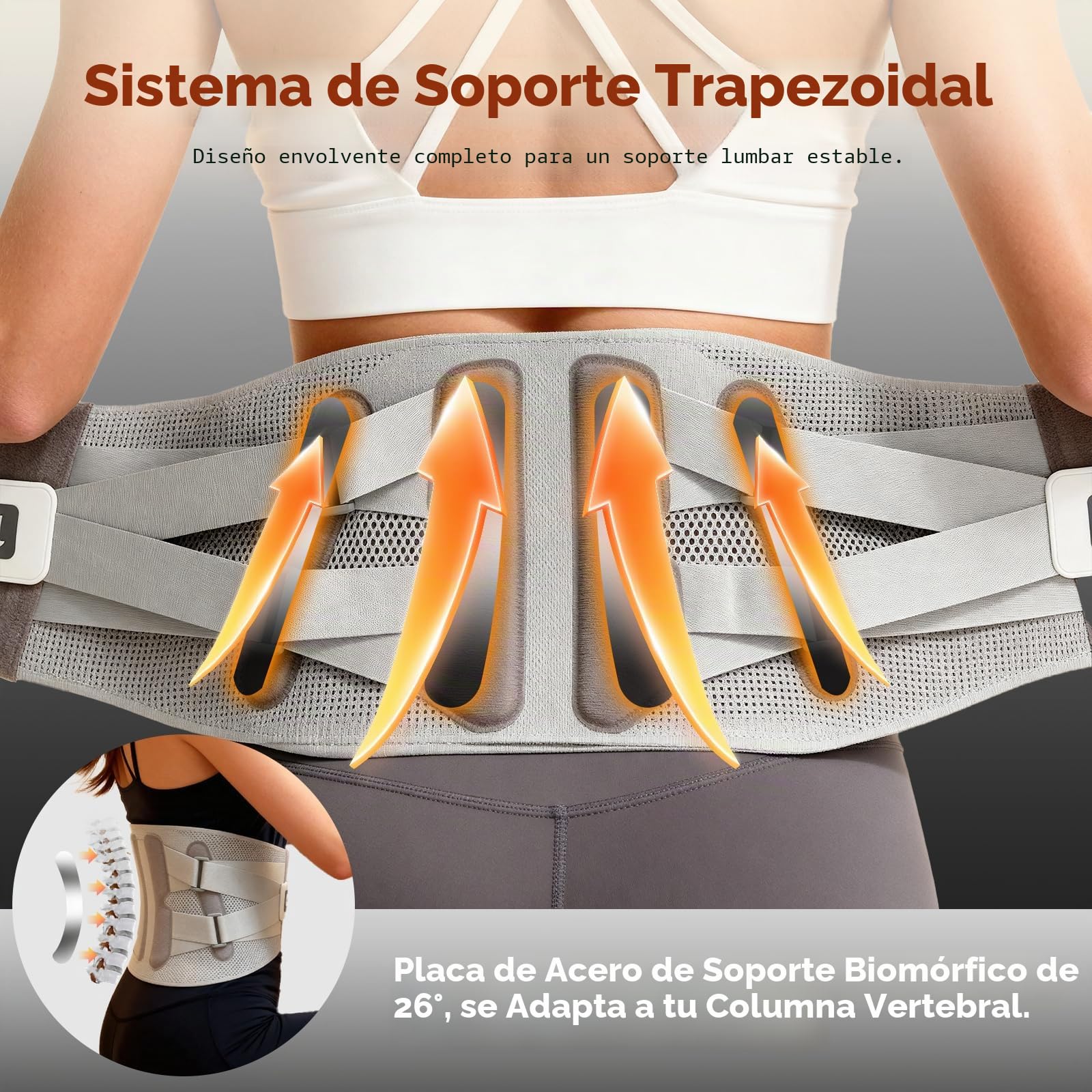 arboleaf Faja Lumbar Hombre y Mujer con Almohadilla Térmica y Barras Intercambiables, Cinturon Lumbar Soporte 360°, Faja Abdominal para Trabajo, Deportiva y Actividades Diarias, Alivio de Dolor - XL