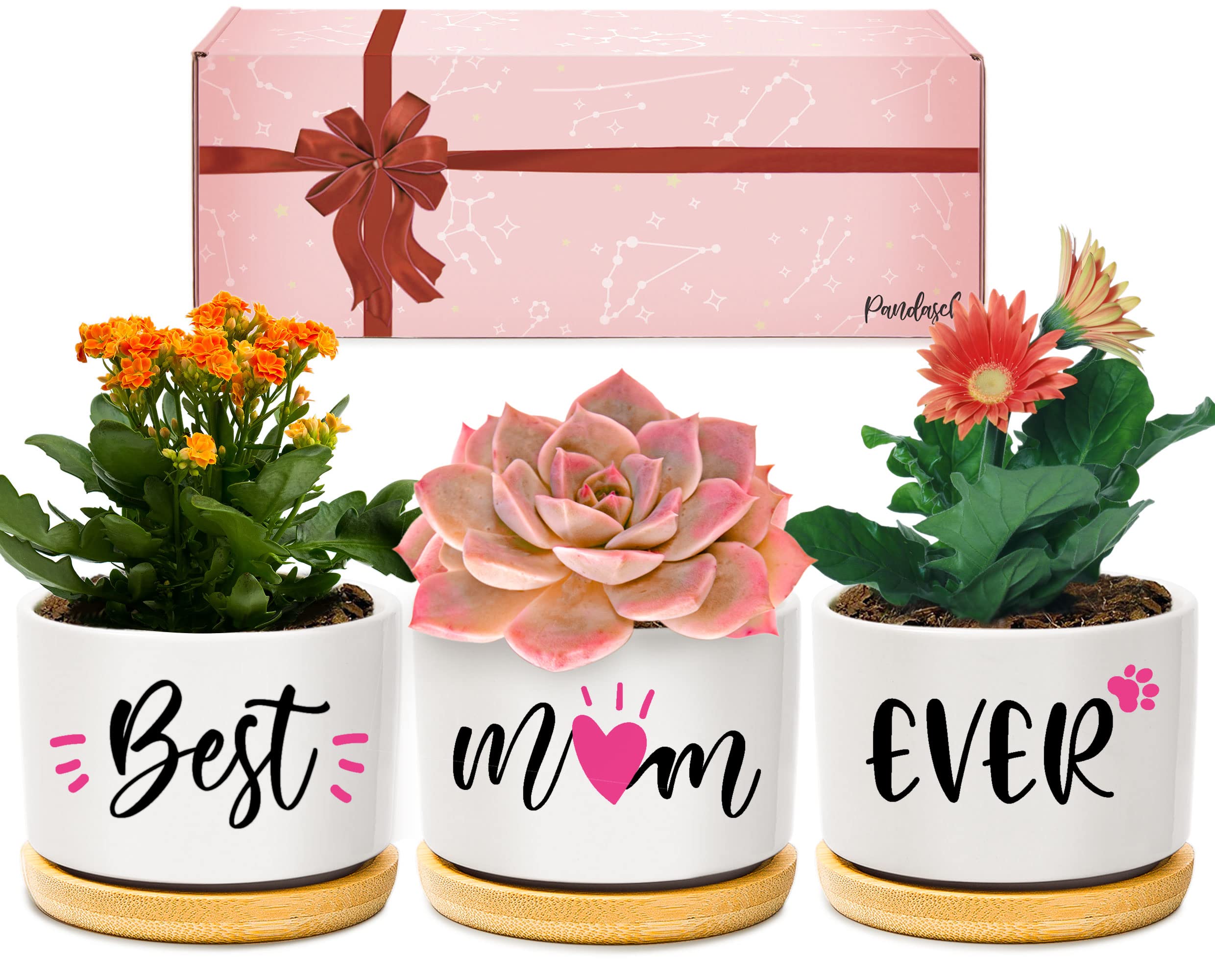 Pandasch Gifts for Mum, Mum Mothers Day Birthday Gifts from Daughter Son, Unique Mum Gift Idea for Mothers Day Birthday,Best Mum Ever Succulent Planter Pots Presents for Mum/Mummy