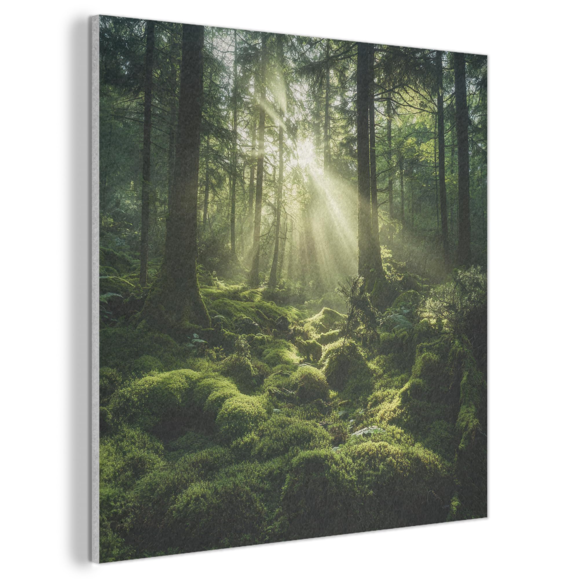 MuchoWow© Felt Panel 60x60 cm Framed Print Painting for Entryway Interior Accent Decoration Wall Art Sunbeams - Forest - Moss - Green