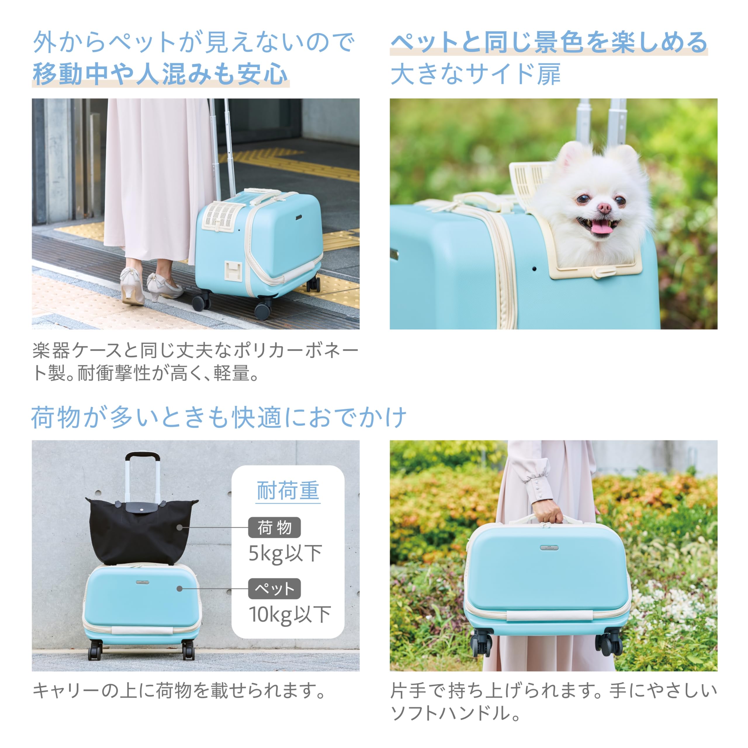 Amazon | ジェックス GEX OSOTO コロフィー M アクア 軽量 飛び出し