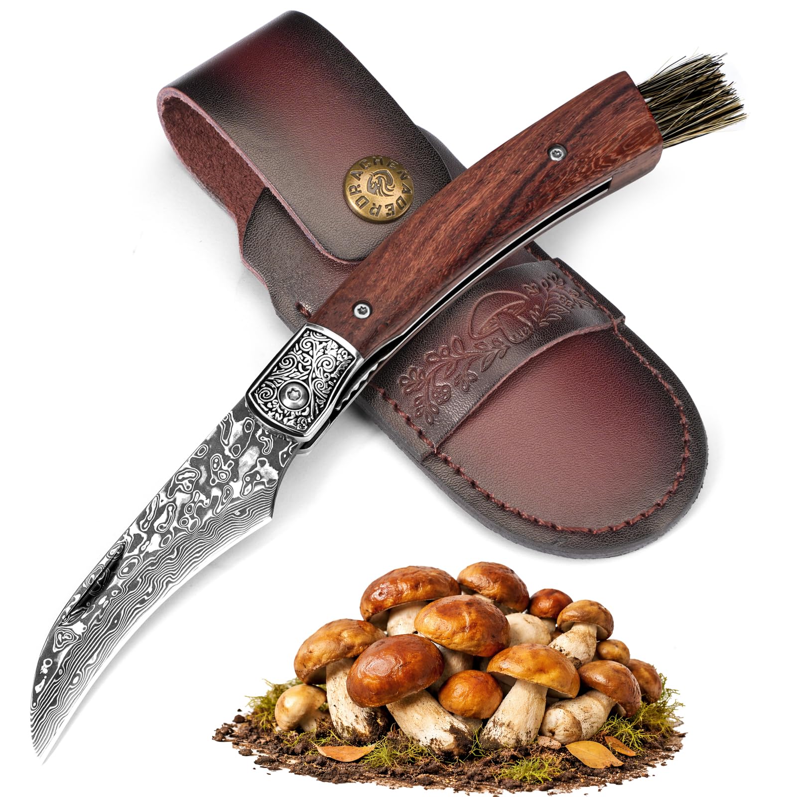 DRACHENADER Couteau Champignon Damas avec Brosse Intégrée, Couteau à Champignon Pliant Forgé à la Main avec Liner Lock, Idéal pour la Cueillette des Champignons