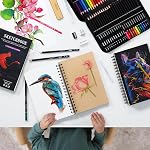 HIFORNY 176 PCS Fournitures d'art Ensemble de dessin Kit de croquis avec 100 Feuilles 3-Color Livre de croquis,Graphite Couleur de l'aquarelle & Crayons métalliques, outils de blanchiment et plus encore, pour les artistes débutants