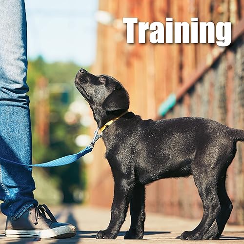 Miniatura 10 de Whole Life Pet Mini Ones - Golosinas de hígado de res para perros pequeños o golosinas de entrenamiento para perros de cualquier tamaño, grado