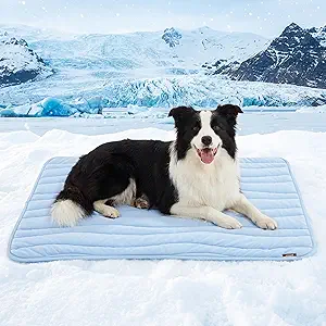 ZOMISIA Extra Large Dog Cooling Mat - 44x32 Inches, Breathable, Washable, Non-Slip, Portable Summer Pet Pad, Blue