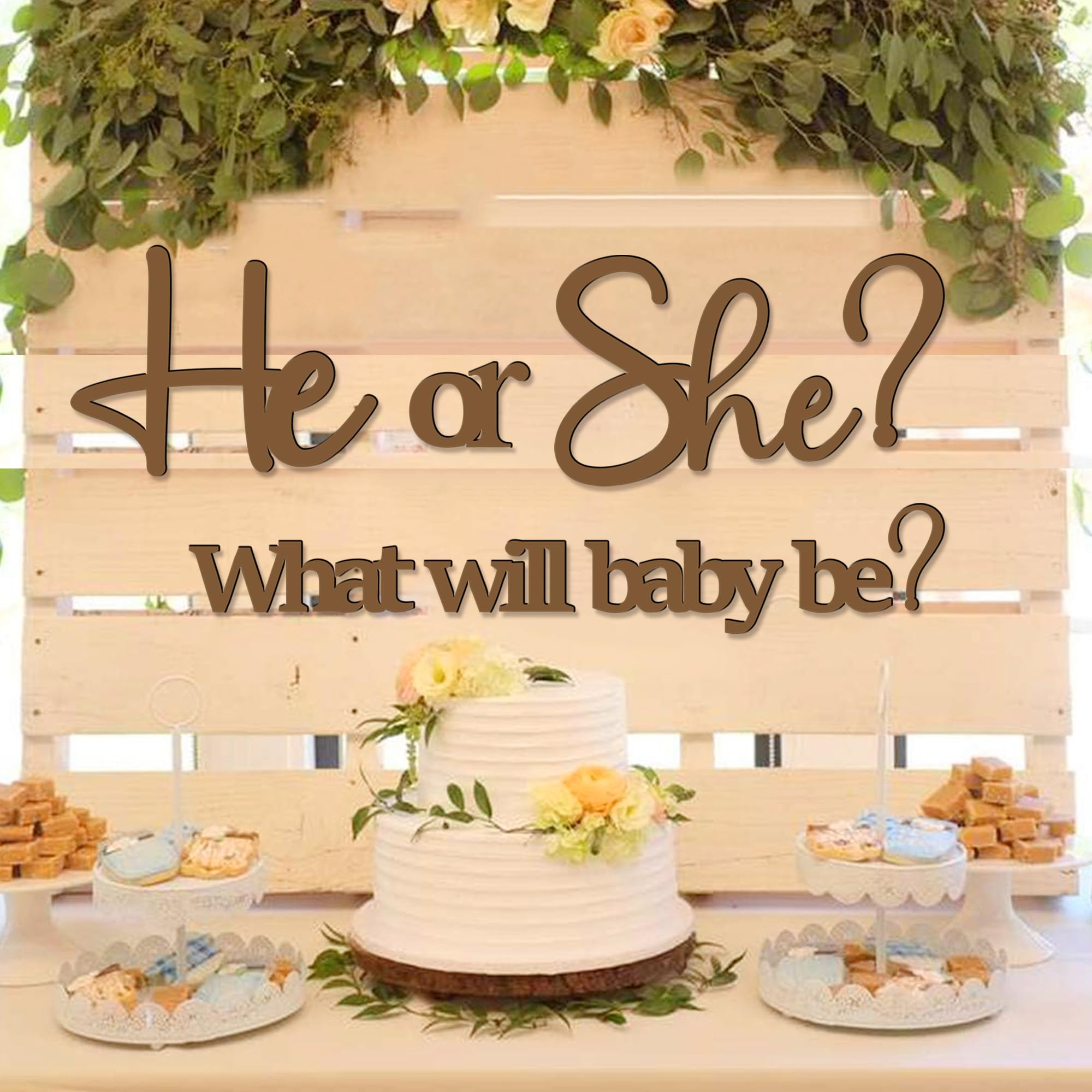 Large Gender Reveal Decals for Backdrop Wooden Baby Shower Sign He or She What Will Baby Be Balloon Arch Decor Gender Reveals Welcome Sign Girl or Boy Party Stickers Pregnancy Party Banner Photo Props