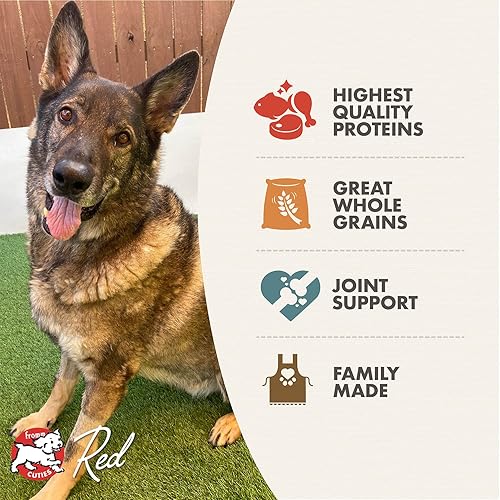 Miniatura 3 de Fromm Reduced Activity Senior Gold Premium - Alimento seco para perros mayores para razas medianas y pequeñas, receta de pollo, 15 libras