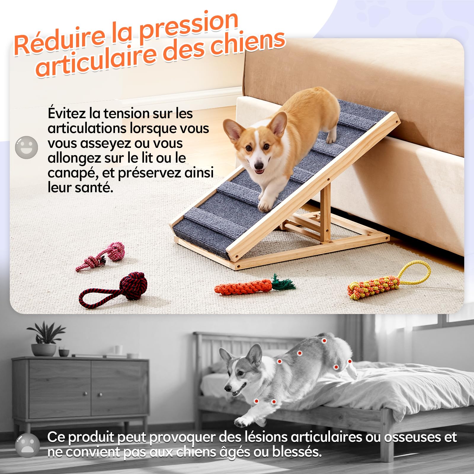 TUKAILAI Rampe pour Chien en Bois Massif, Hauteur Réglable Pliable