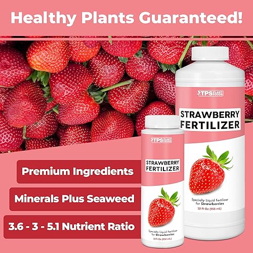Miniatura 5 de Fertilizante de fresa para jardines de frutas y bayas, alimento vegetal líquido 8 oz (8.5 fl oz)