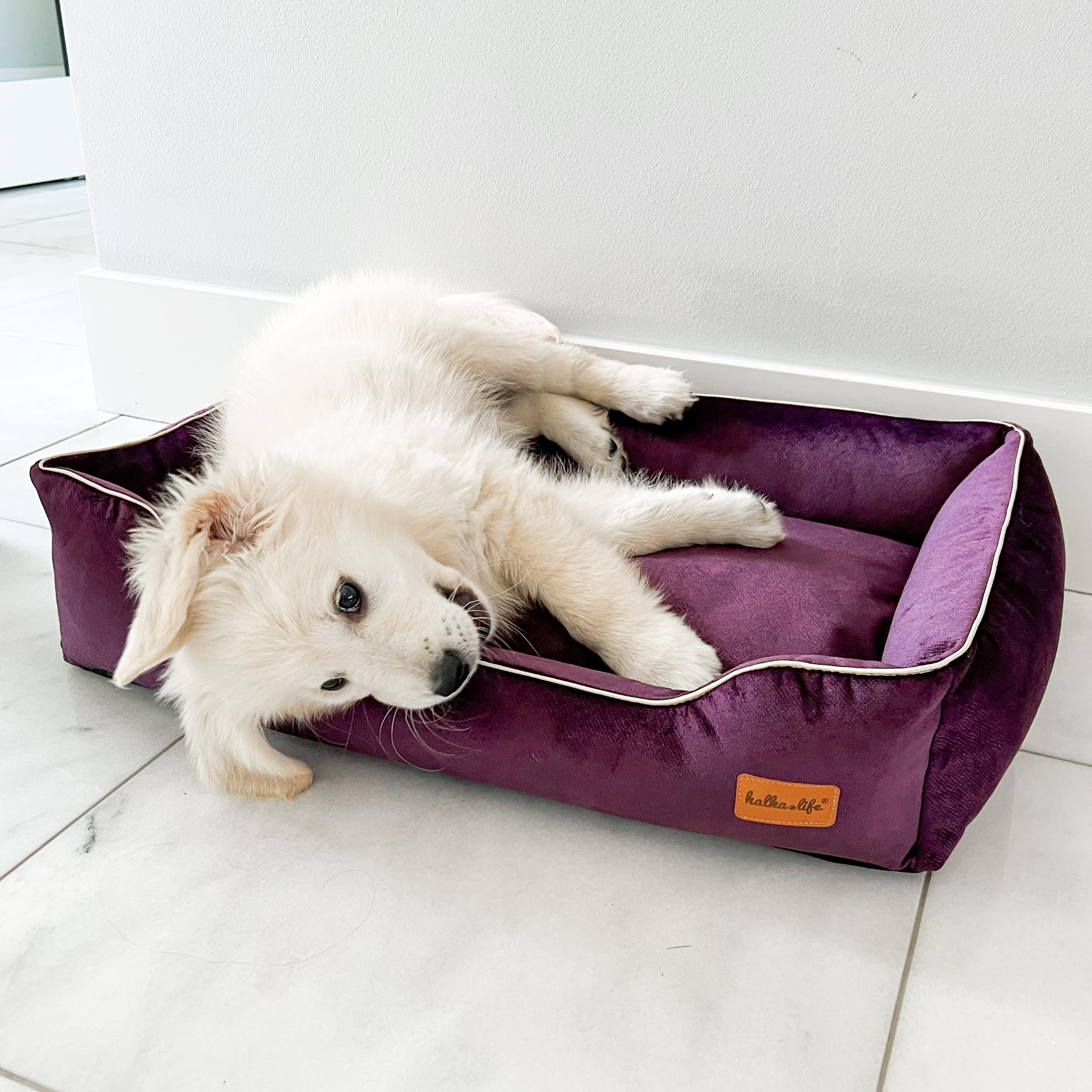 Divano per Cani Impermeabile e Resistente all'abrasione. Divano Lussuoso e Glamour per Un Cane o Un Gatto. Letto Morbido per Cani. (S (60x40x15 cm), Prugna)