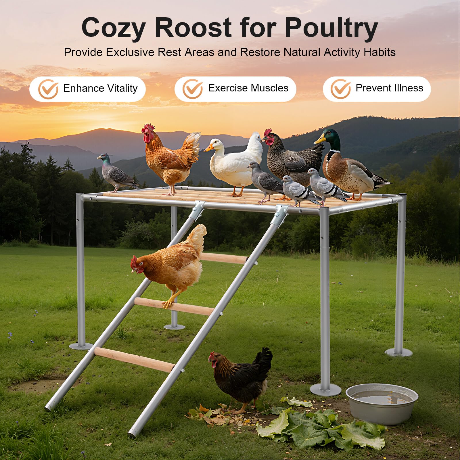 Piattaforma per polli con scala di pollo, scaletta per arrampicata pollaio, accessorio per piattaforma di riposo per polli e polli adulti, 105 x 60 x 60 cm